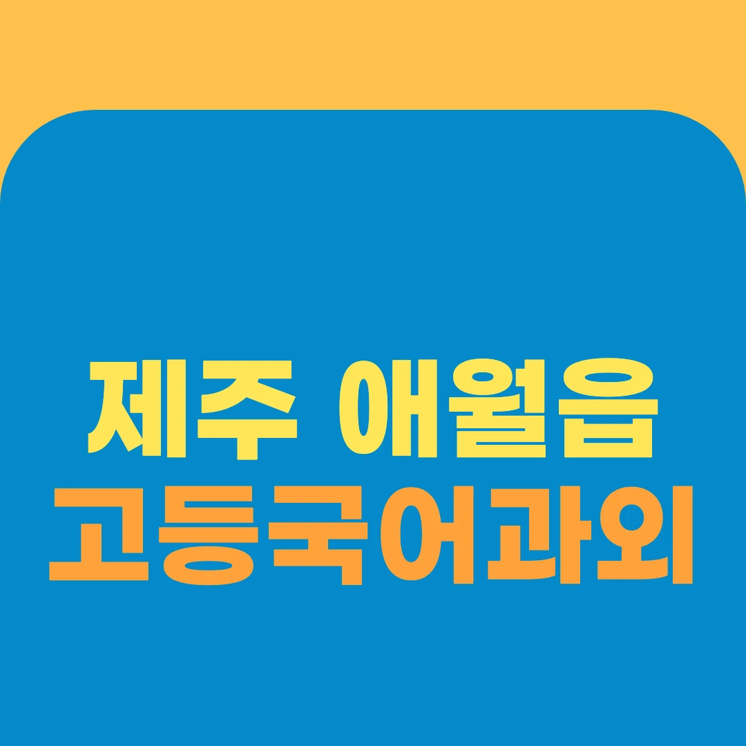 제주 애월읍 고등국어과외