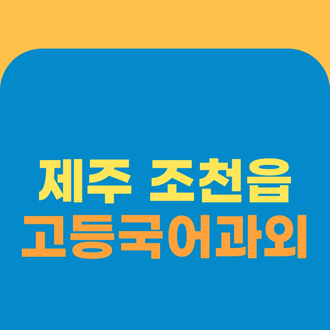 제주 조천읍 고등국어과외