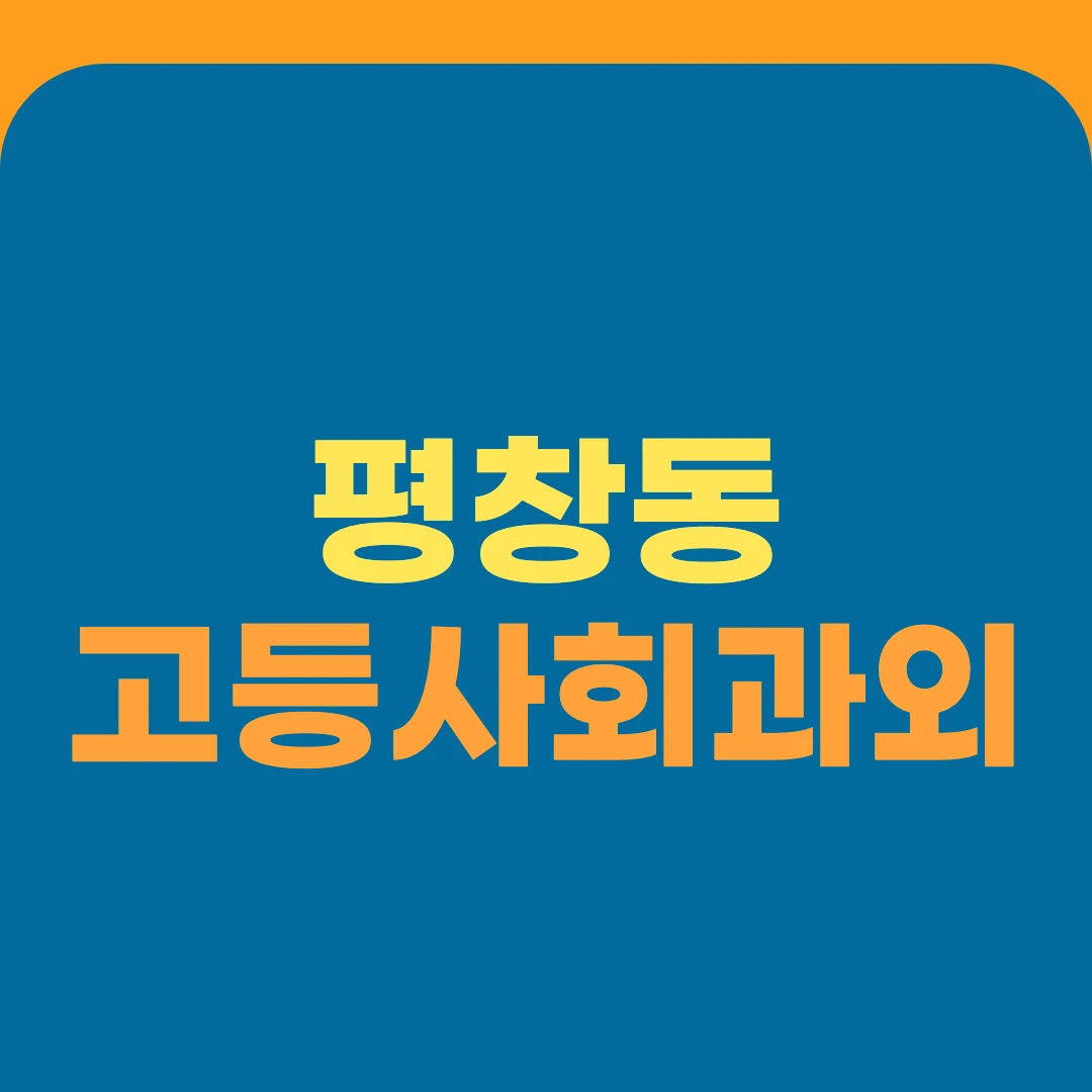 평창동 고등사회과외