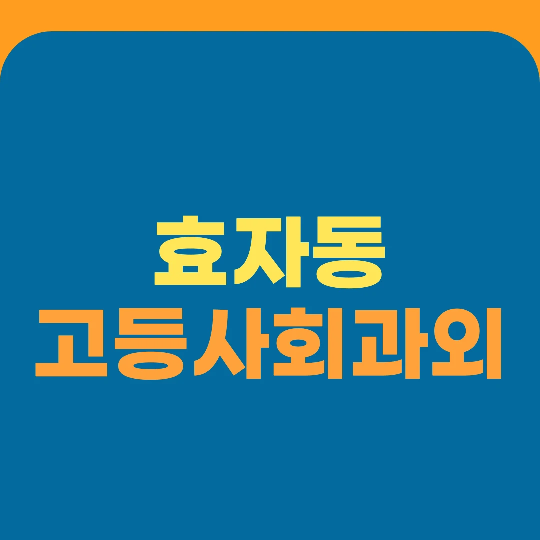 효자동 고등사회과외