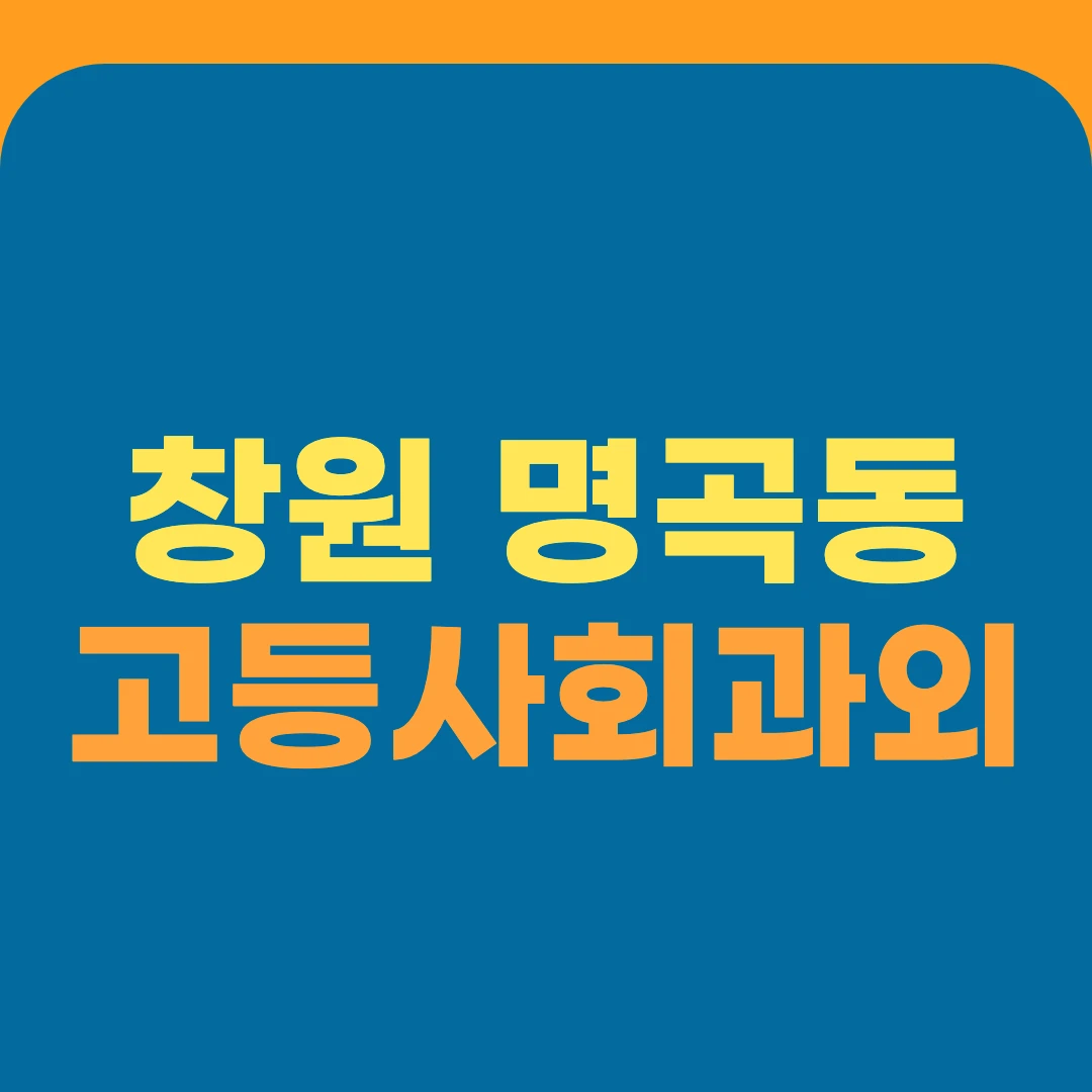 창원 명곡동 고등사회과외