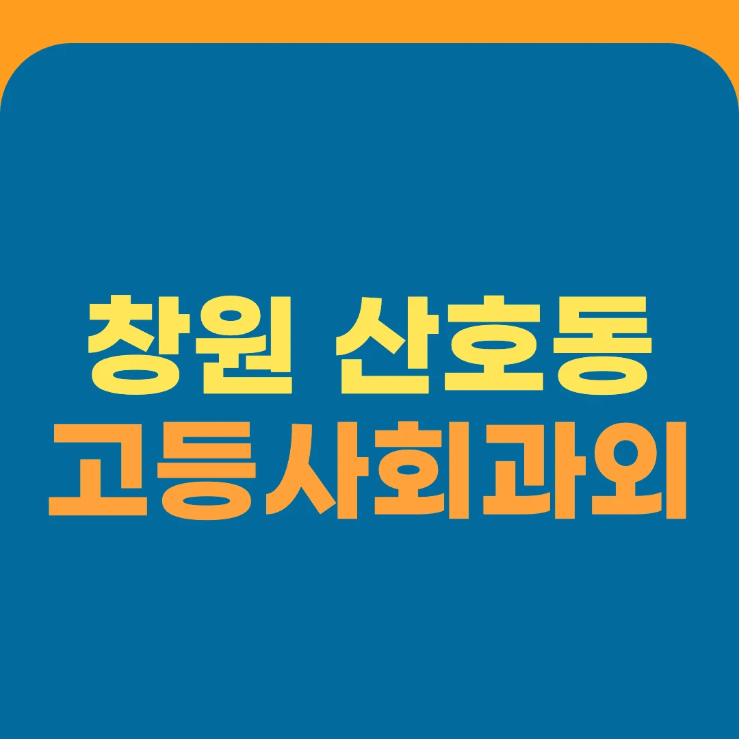 창원 산호동 고등사회과외
