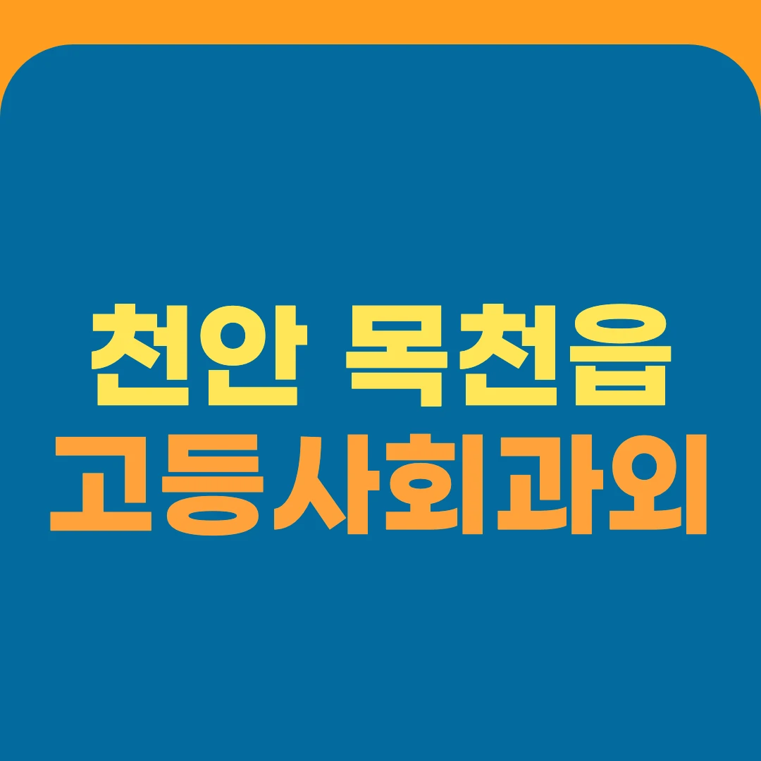 천안 목천읍 고등사회과외