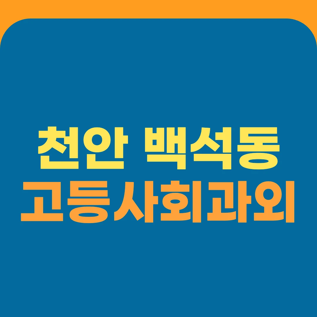 천안 백석동 고등사회과외