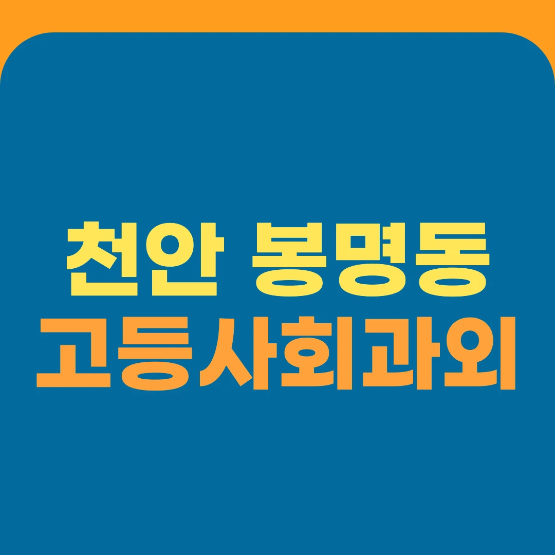 천안 봉명동 고등사회과외