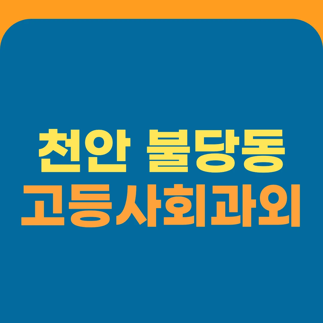 천안 불당동 고등사회과외