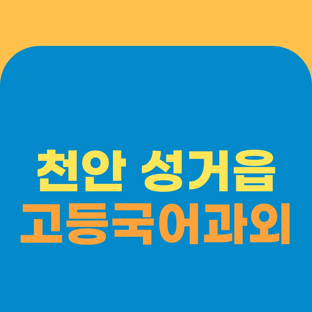 천안 성거읍 고등국어과외