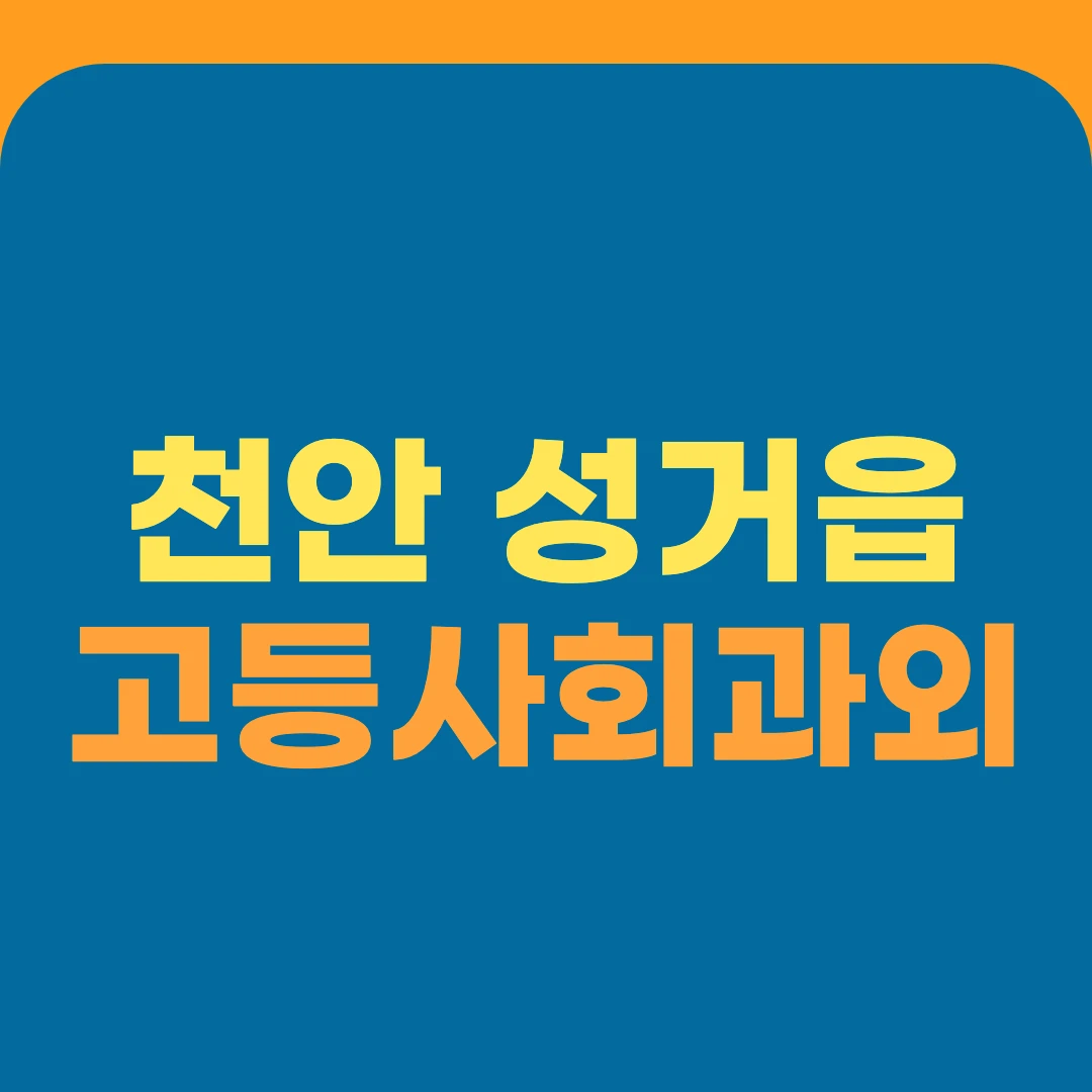 천안 성거읍 고등사회과외