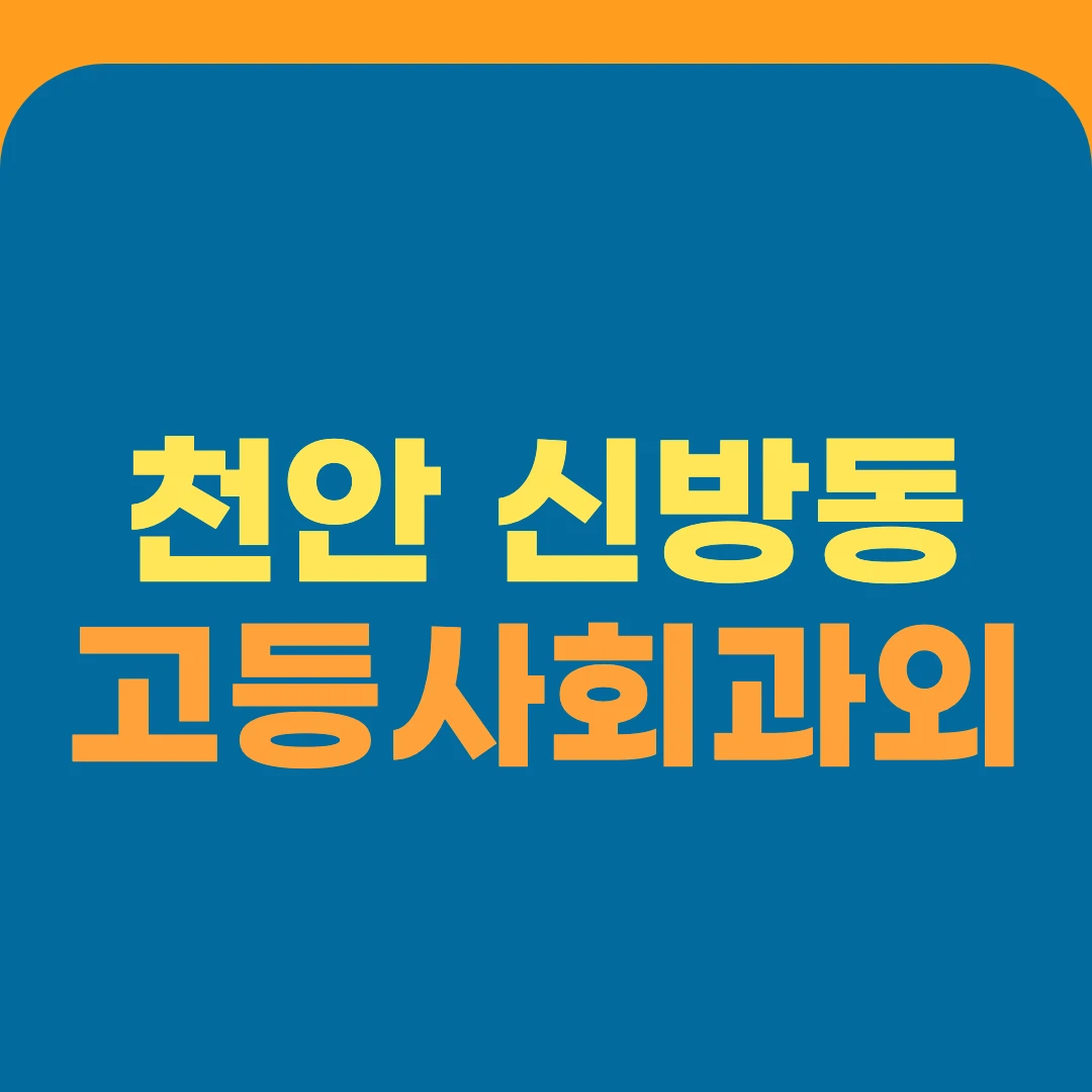 천안 신방동 고등사회과외