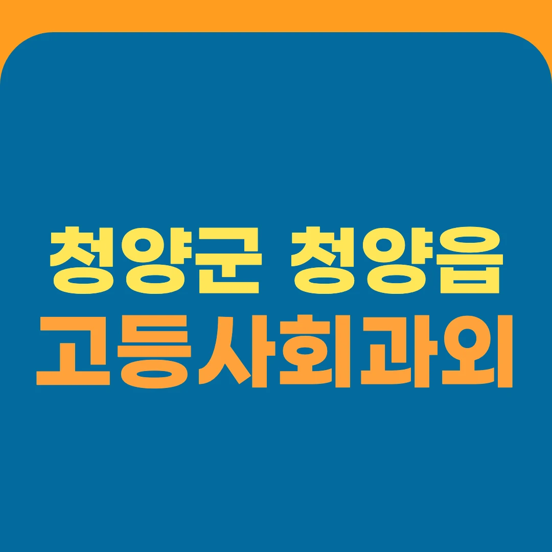 청양군 청양읍 고등사회과외