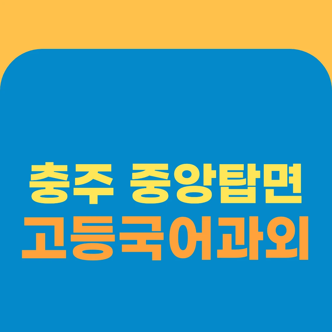 충주 중앙탑면 고등국어과외