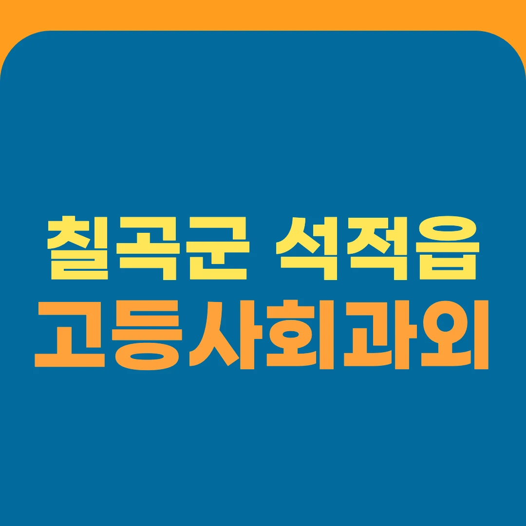 칠곡군 석적읍 고등사회과외