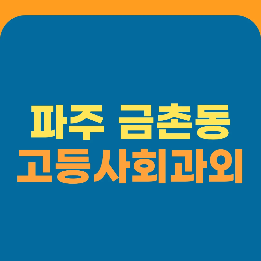 파주 금촌동 고등사회과외