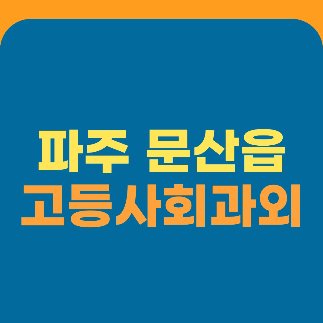 파주 문산읍 고등사회과외