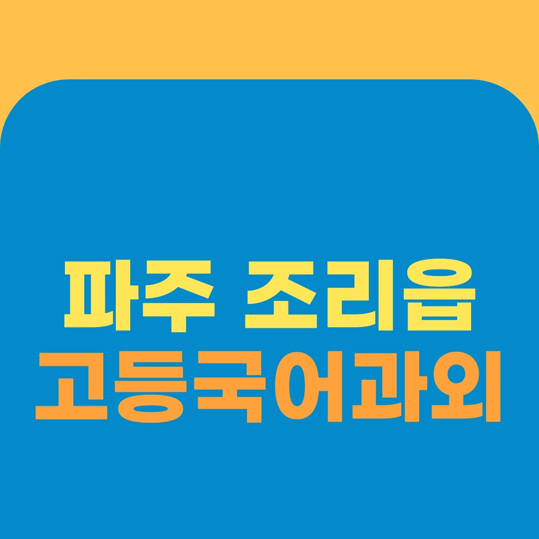 파주 조리읍 고등국어과외