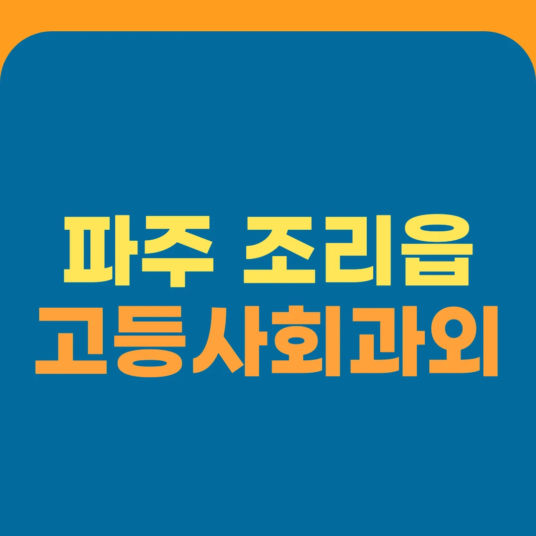 파주 조리읍 고등사회과외