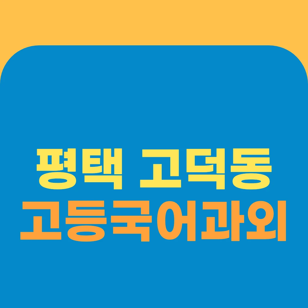 평택 고덕동 고등국어과외