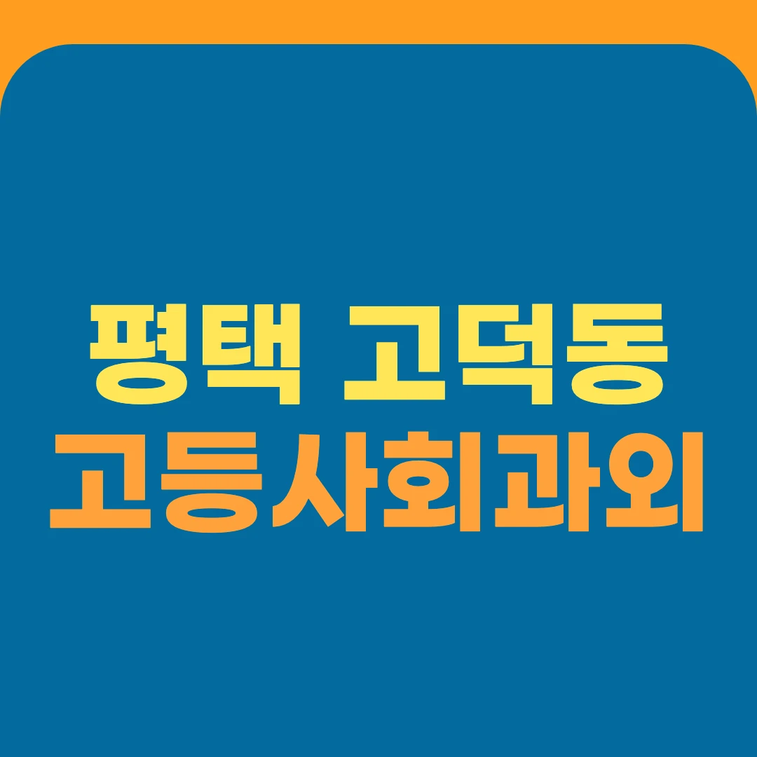 평택 고덕동 고등사회과외