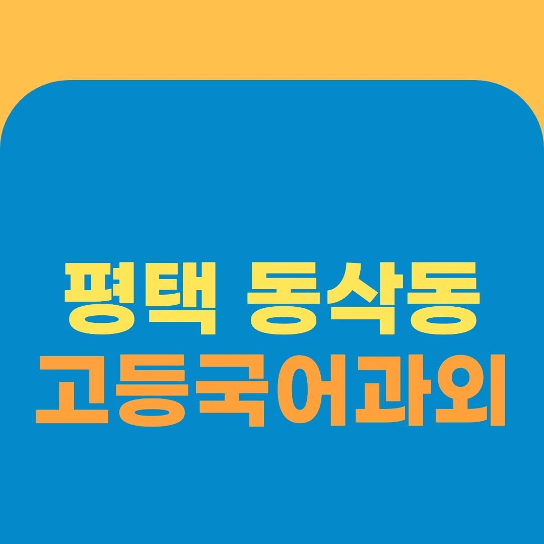평택 동삭동 고등국어과외