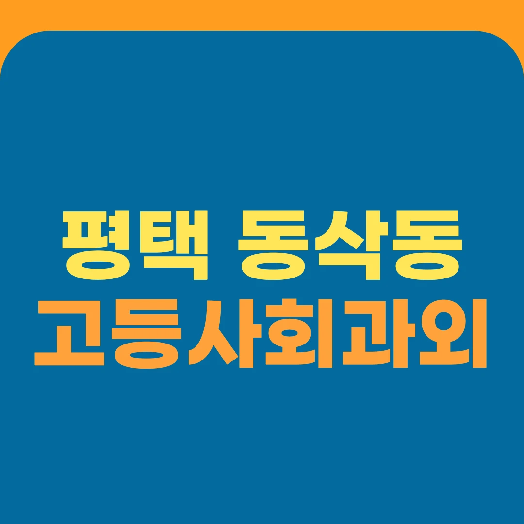 평택 동삭동 고등사회과외