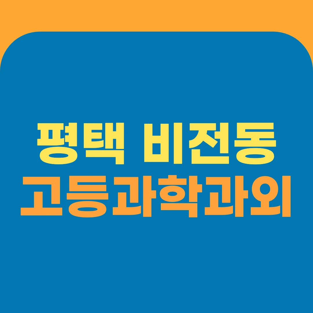 평택 비전동 고등과학과외