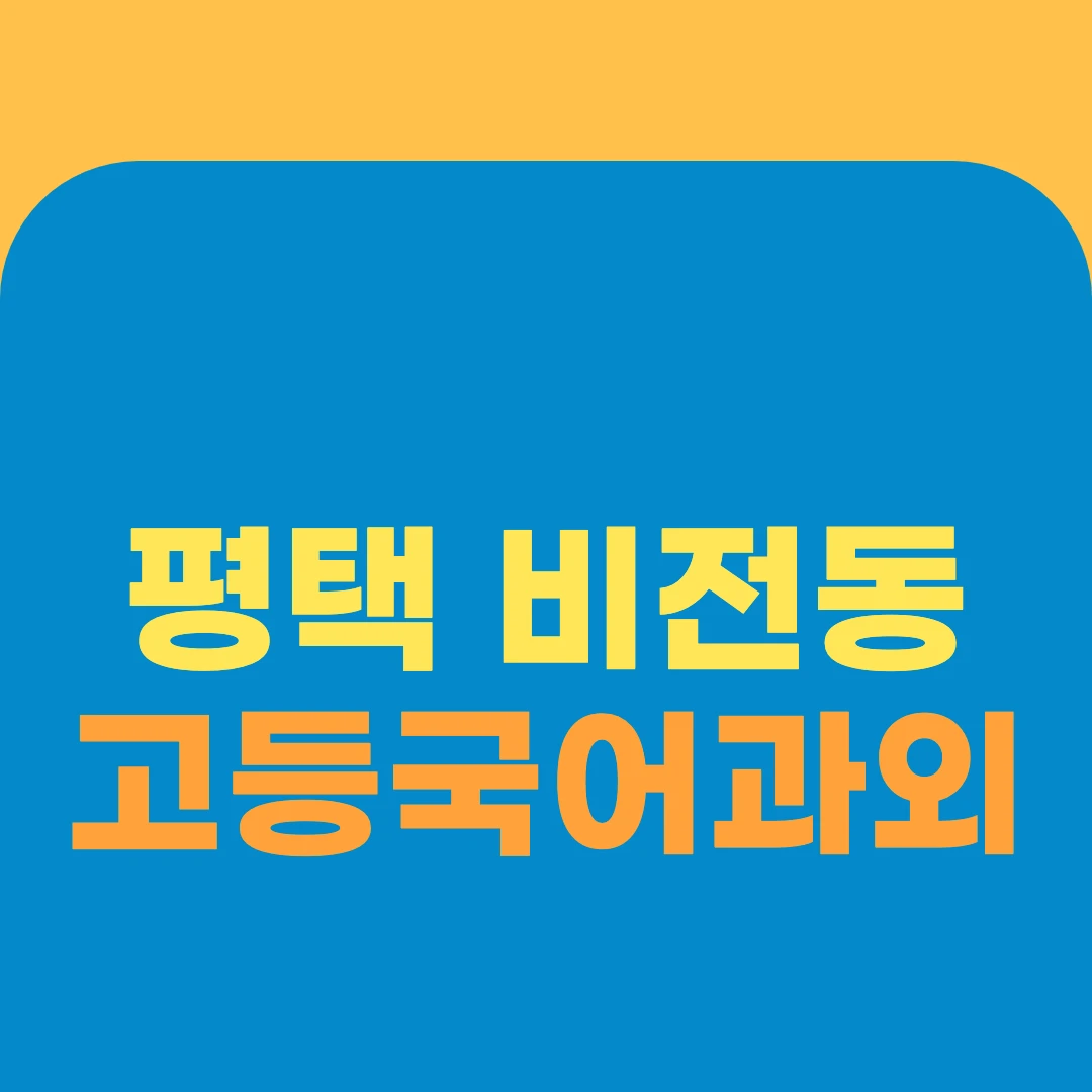 평택 비전동 고등국어과외