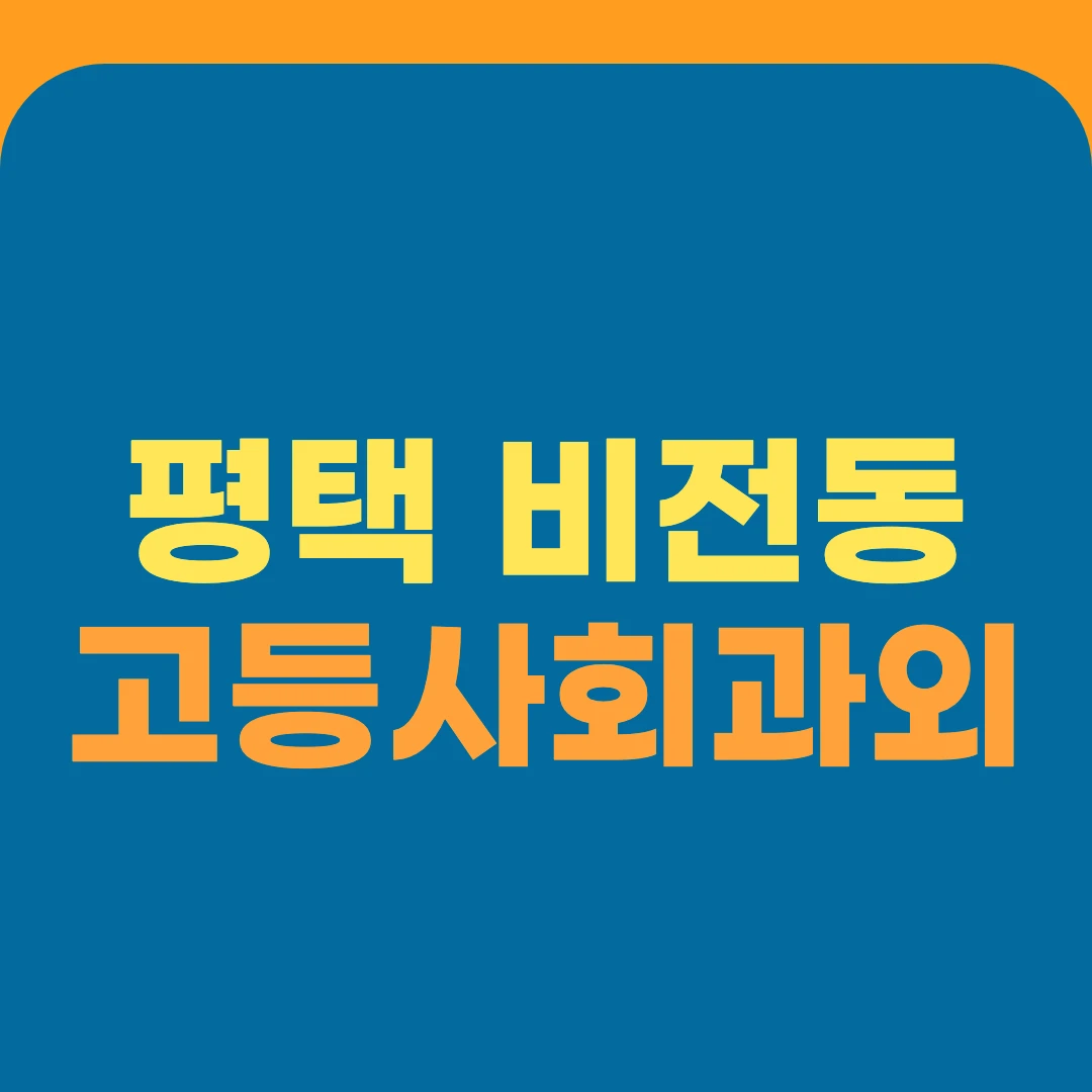 평택 비전동 고등사회과외