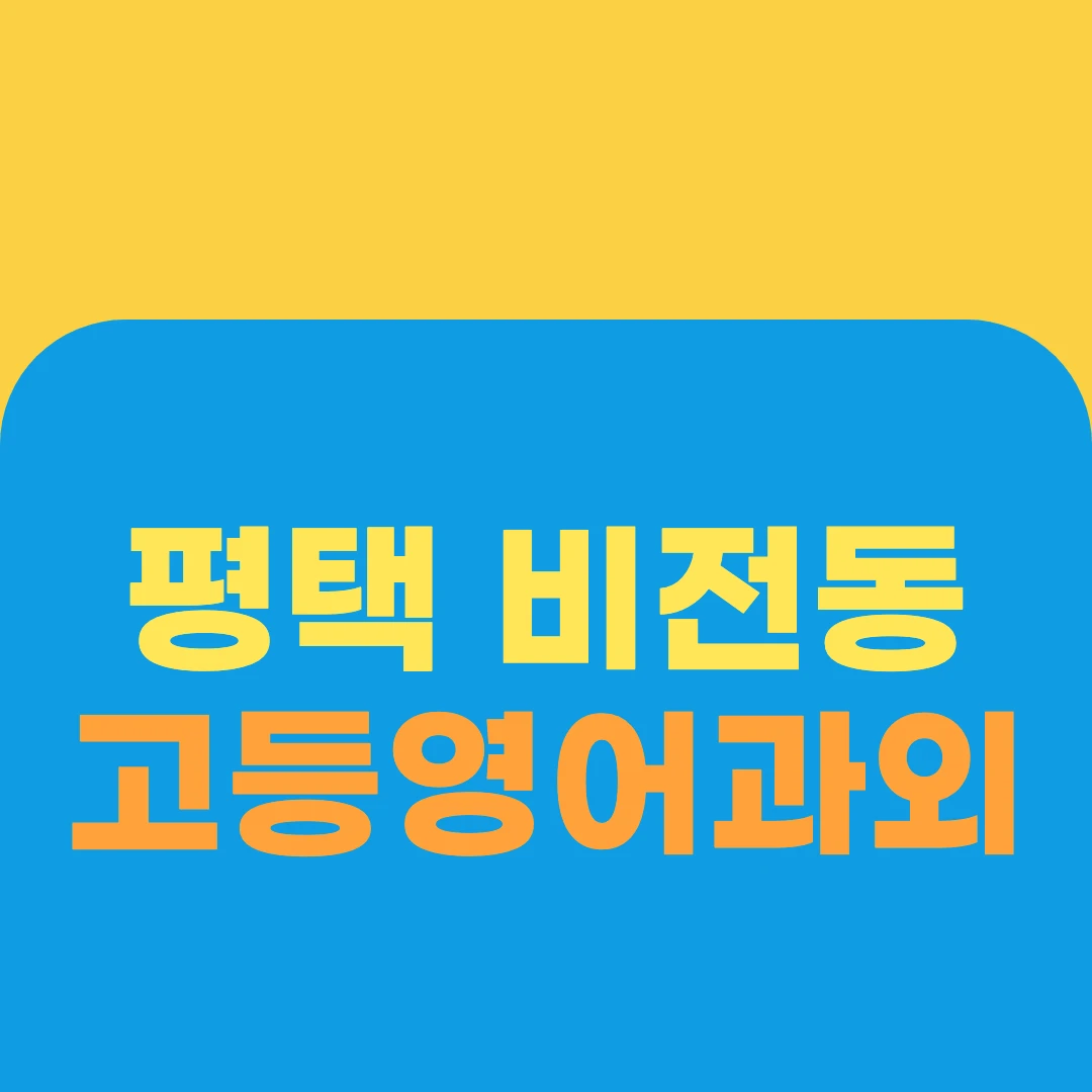 평택 비전동 고등영어과외