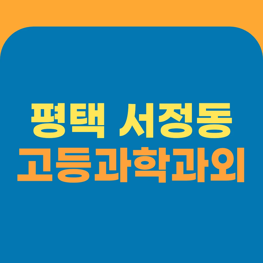 평택 서정동 고등과학과외