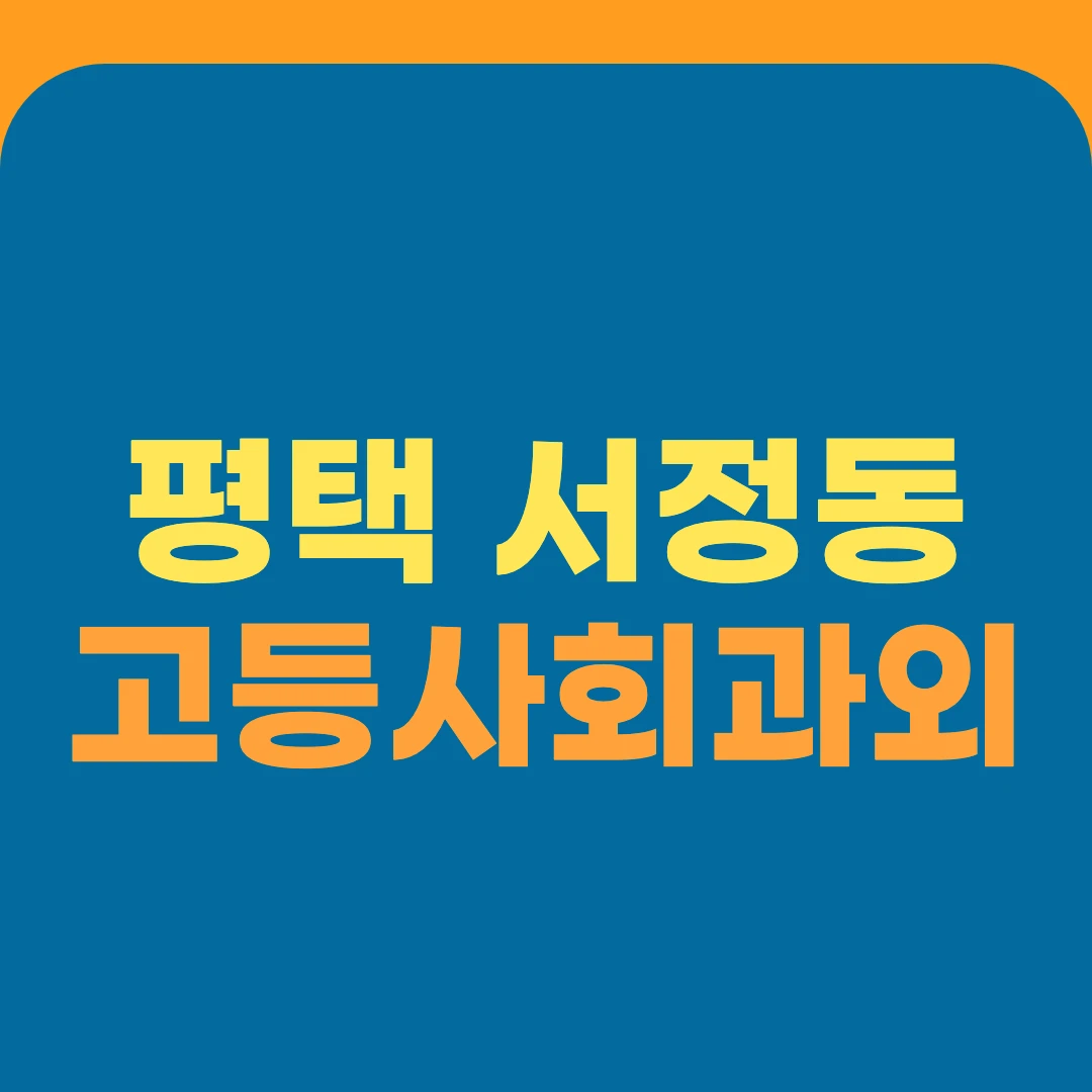 평택 서정동 고등사회과외