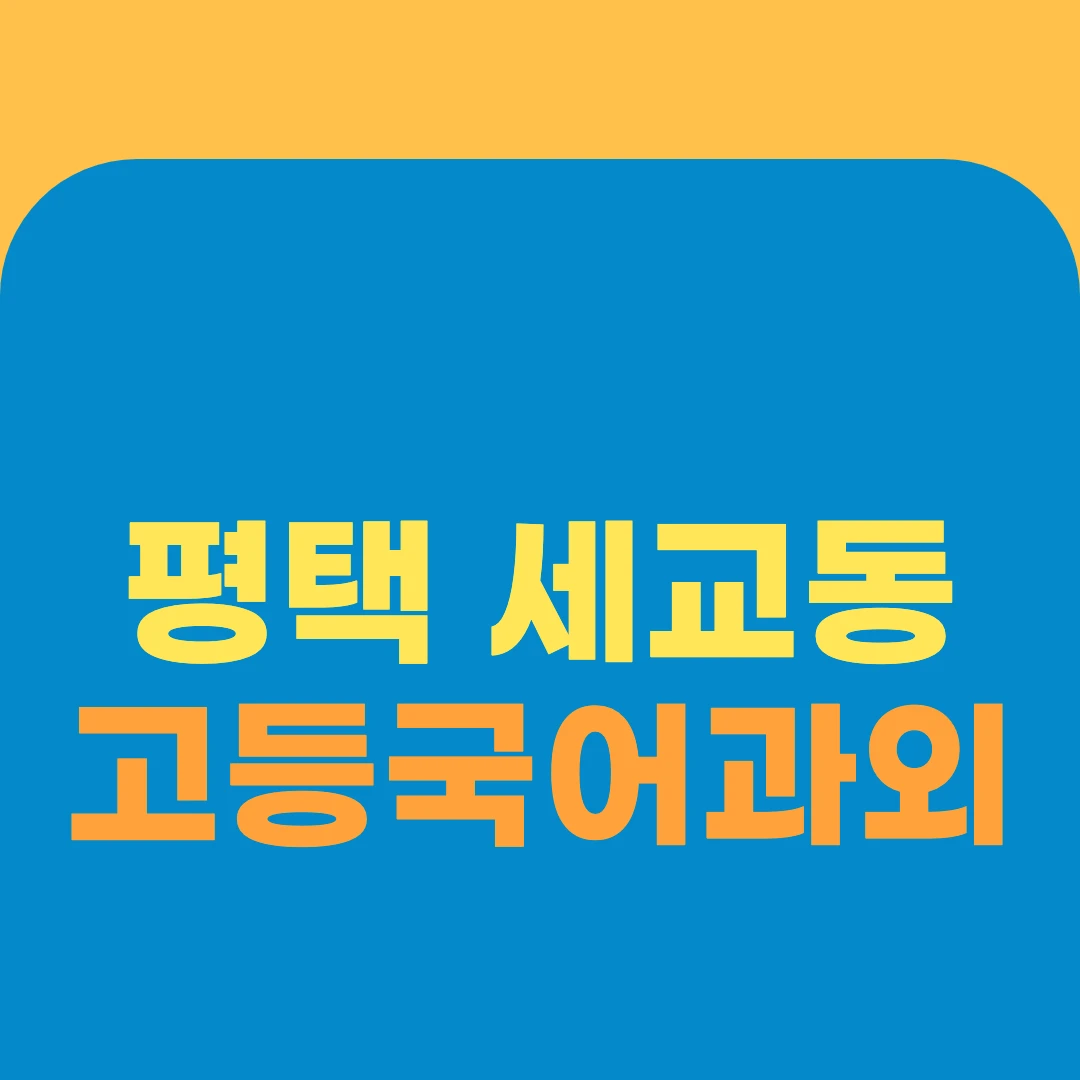 평택 세교동 고등국어과외