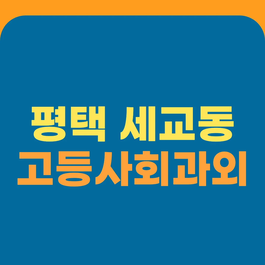 평택 세교동 고등사회과외