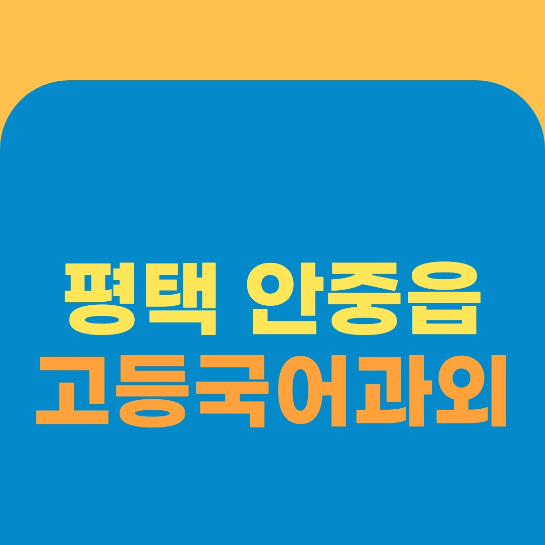 평택 안중읍 고등국어과외