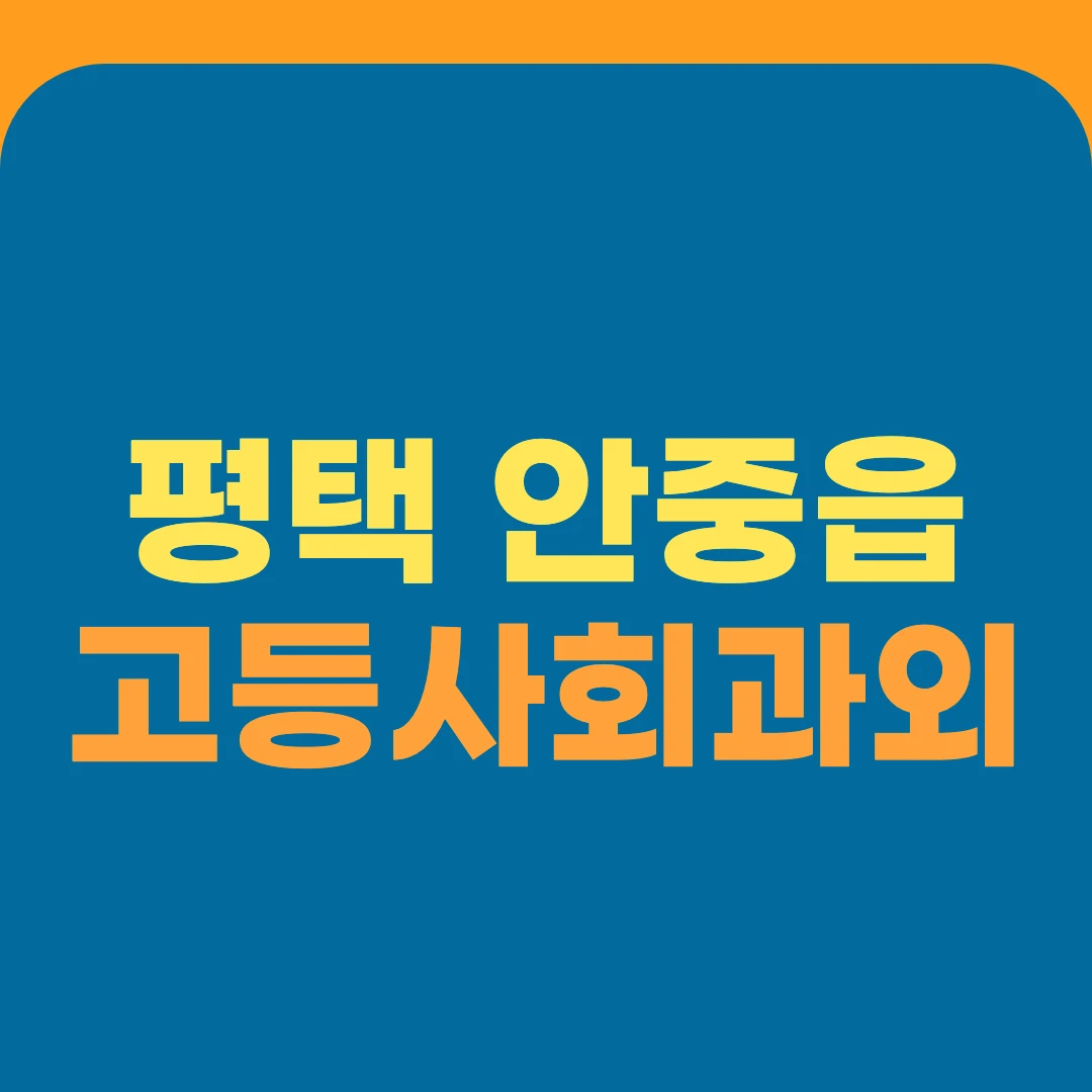 평택 안중읍 고등사회과외