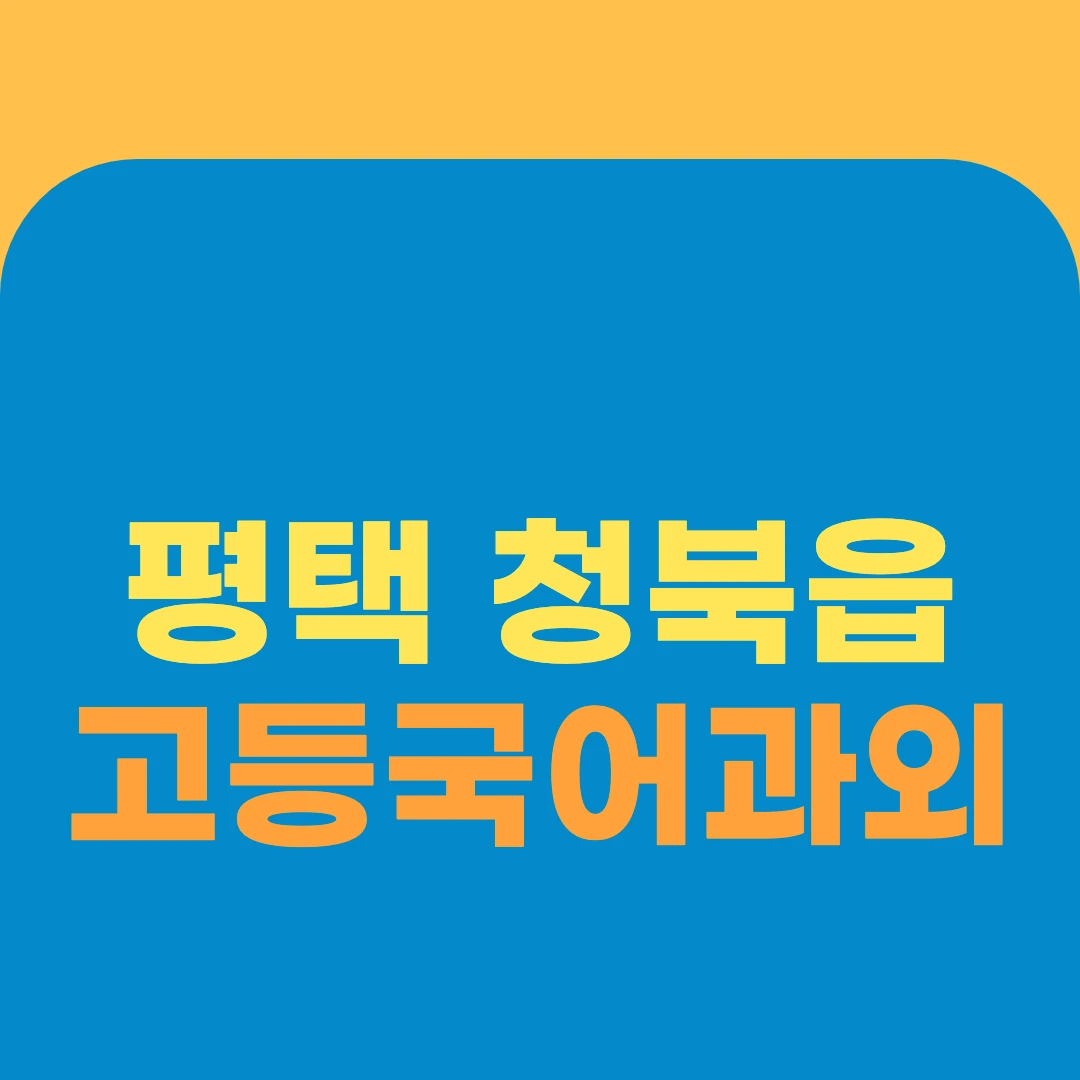 평택 청북읍 고등국어과외