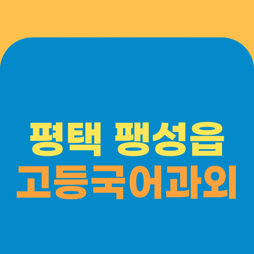 평택 팽성읍 고등국어과외