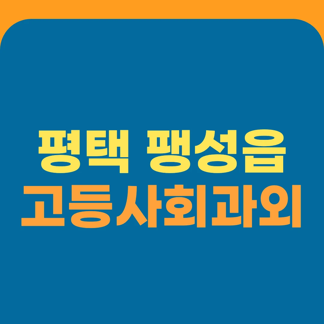 평택 팽성읍 고등사회과외