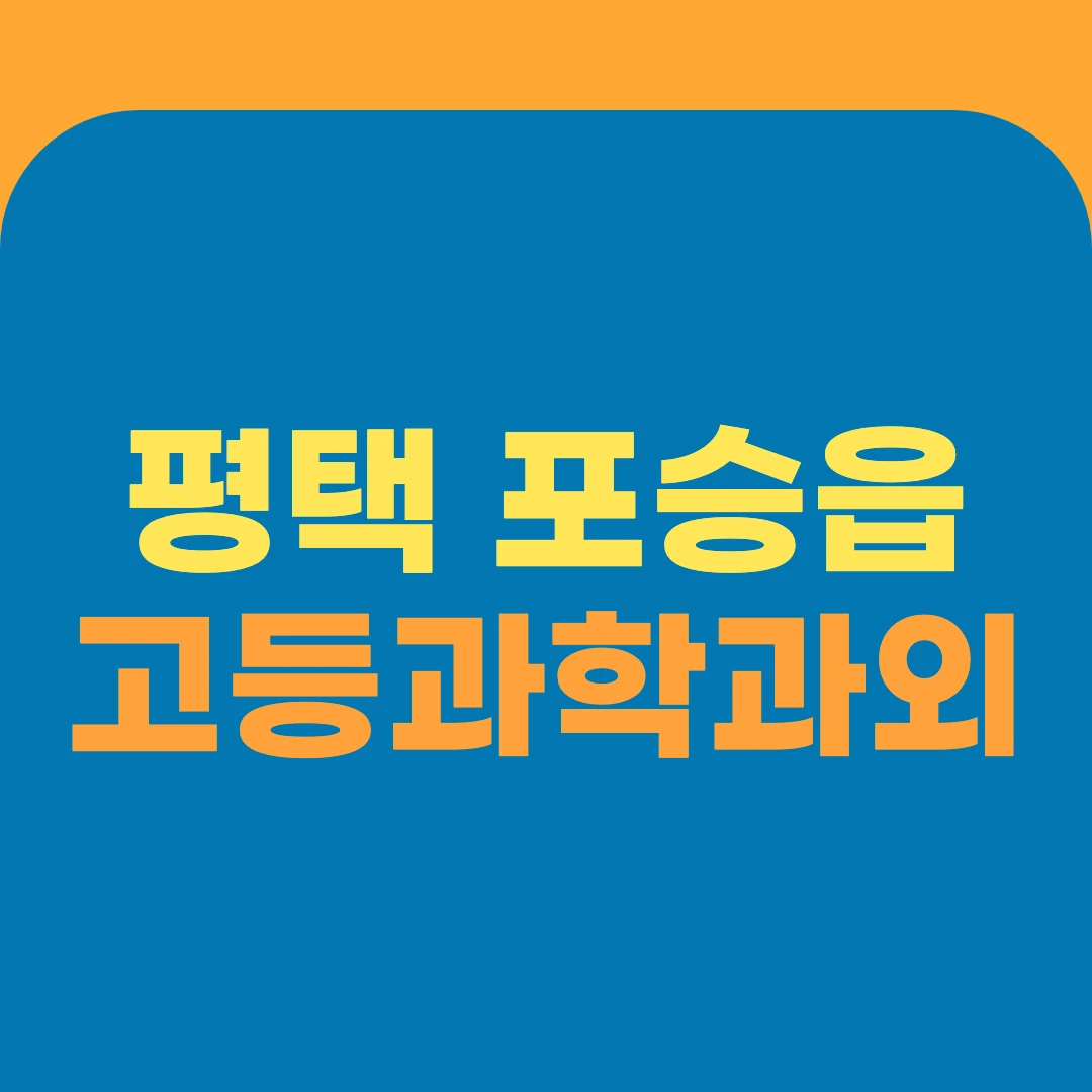 평택 포승읍 고등과학과외