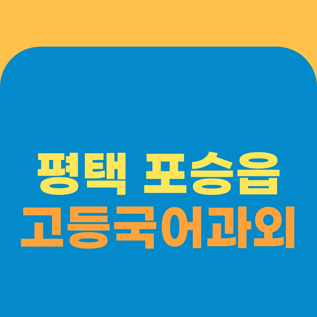 평택 포승읍 고등국어과외