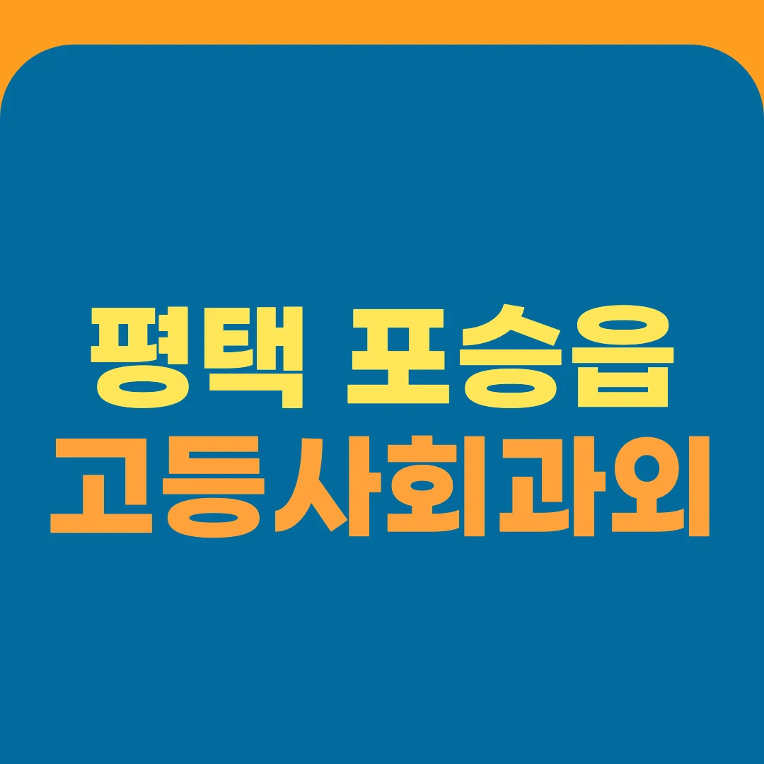 평택 포승읍 고등사회과외