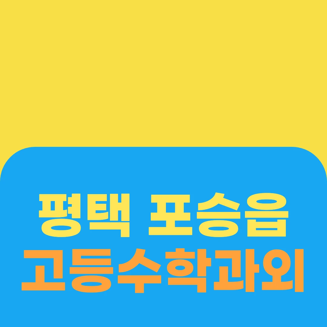 평택 포승읍 고등수학과외