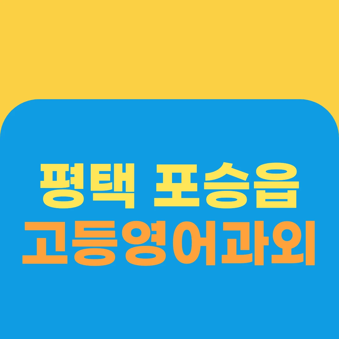 평택 포승읍 고등영어과외