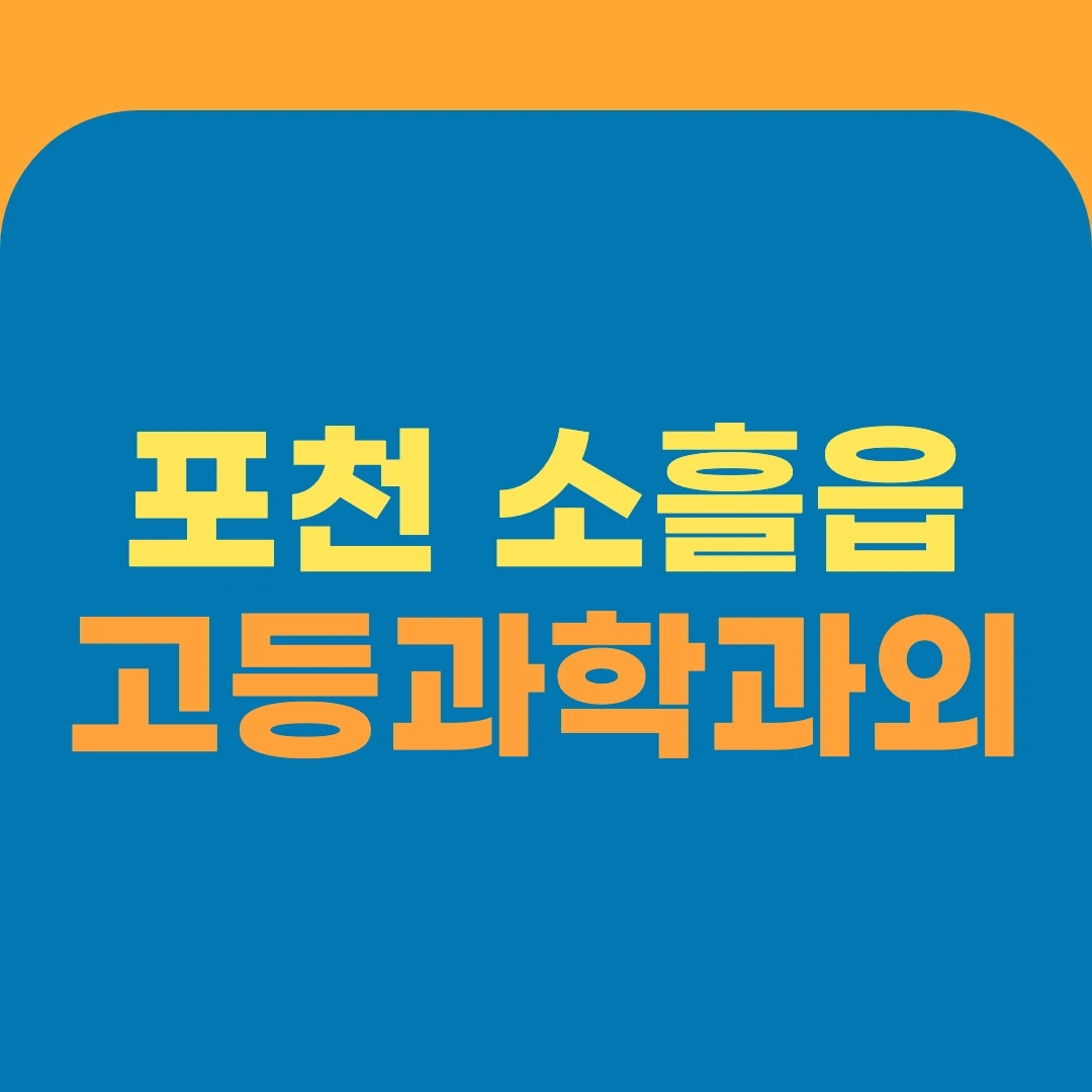 포천 소흘읍 고등과학과외