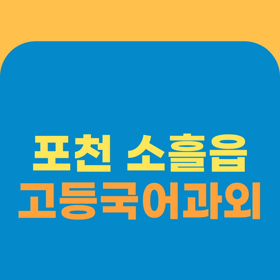 포천 소흘읍 고등국어과외