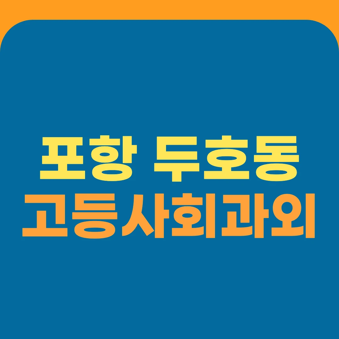 포항 두호동 고등사회과외