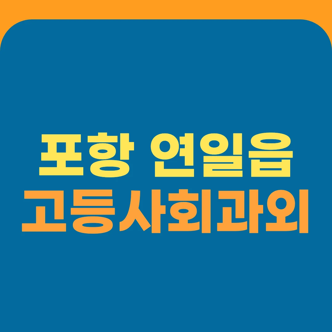 포항 연일읍 고등사회과외