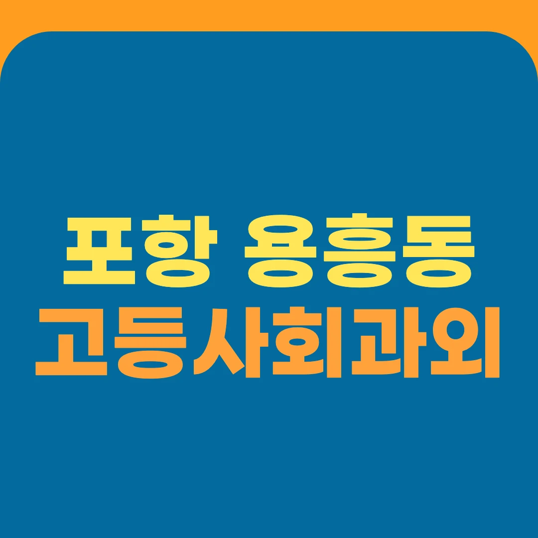 포항 용흥동 고등사회과외