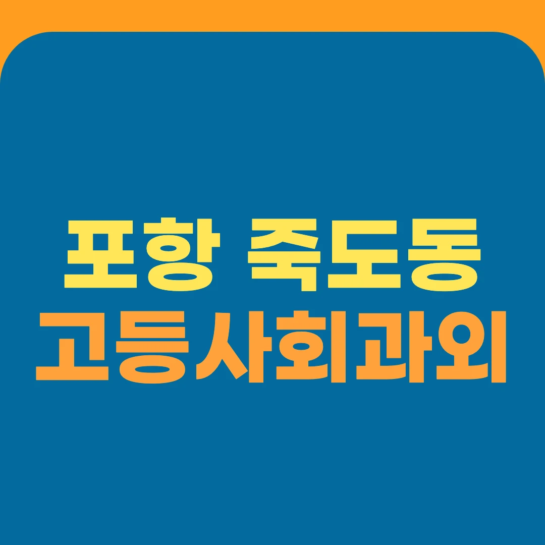 포항 죽도동 고등사회과외