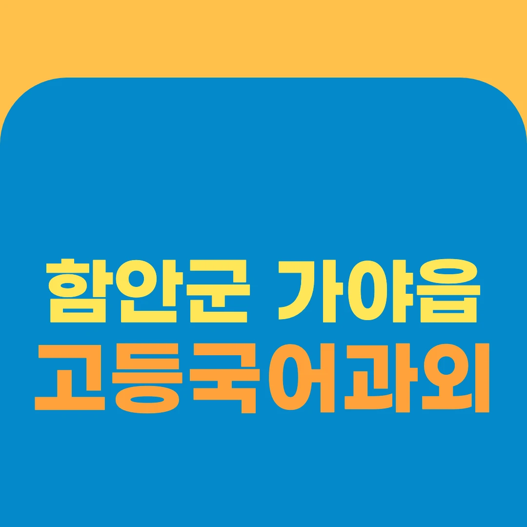함안군 가야읍 고등국어과외