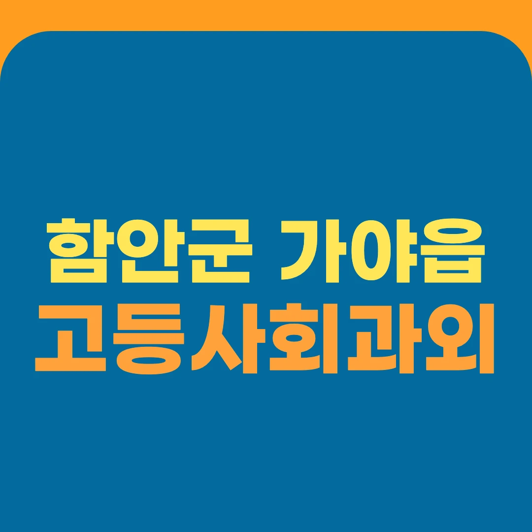 함안군 가야읍 고등사회과외